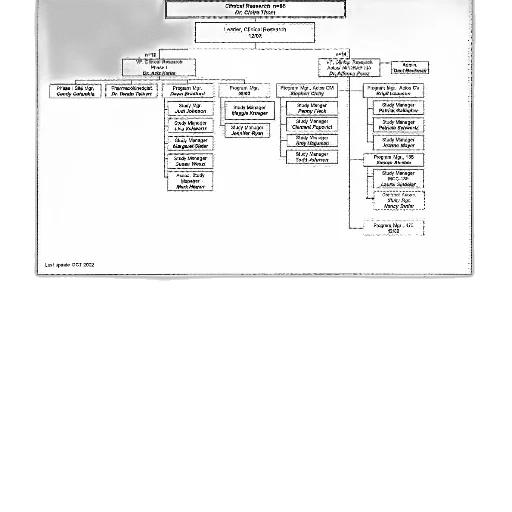 staff, flowchart, various, boxes transparent PNG cut-out