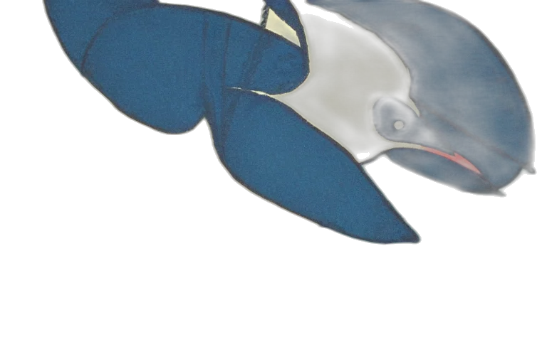 animal, creature, hat, weapon transparent PNG cut-out