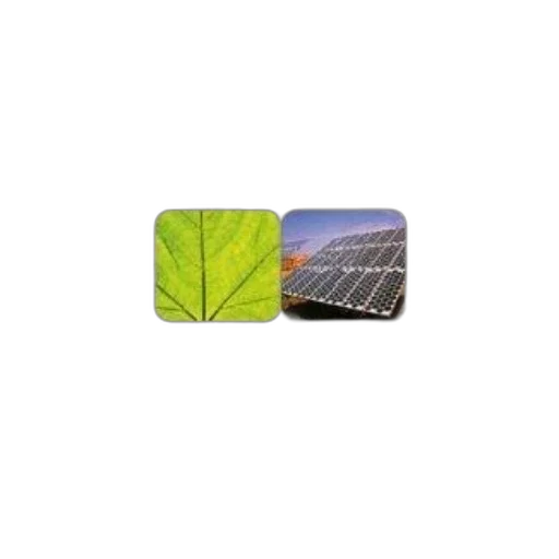 food, photorealistic, green, cover transparent PNG cut-out