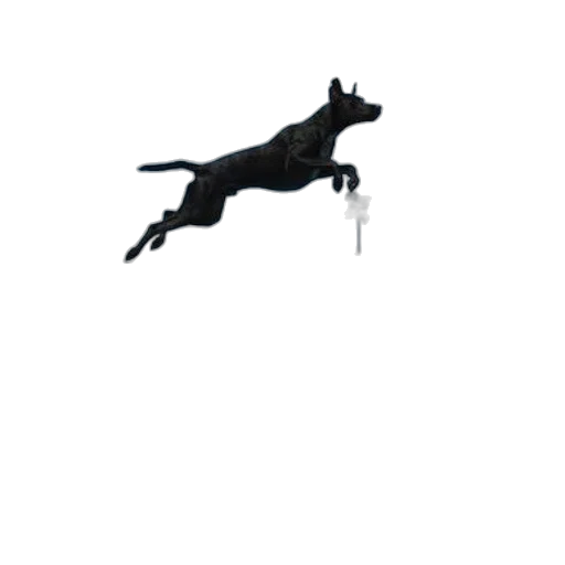 animal, staff, creature, dragon transparent PNG cut-out