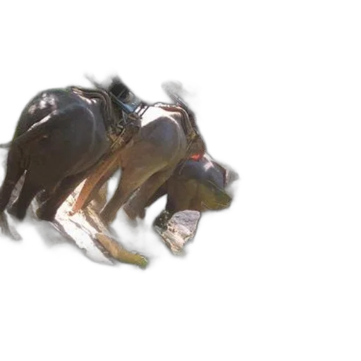 animal, creature, dragon, weapon transparent PNG cut-out