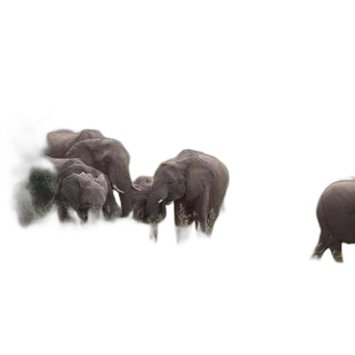 animal, creature, concept art, 3d render transparent PNG cut-out