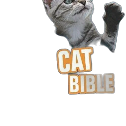 animal, creature, weapon, photorealistic transparent PNG cut-out