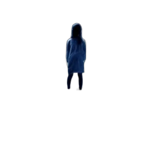 dress, creature, hair, robot transparent PNG cut-out
