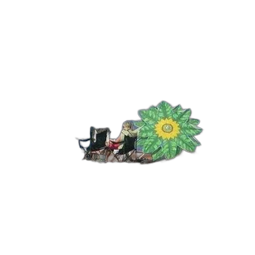 shoes, flower, jewelry, crown transparent PNG cut-out