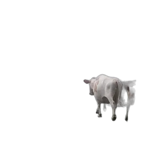 animal, creature, food, robot transparent PNG cut-out