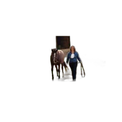 furniture, animal, creature, jacket transparent PNG cut-out