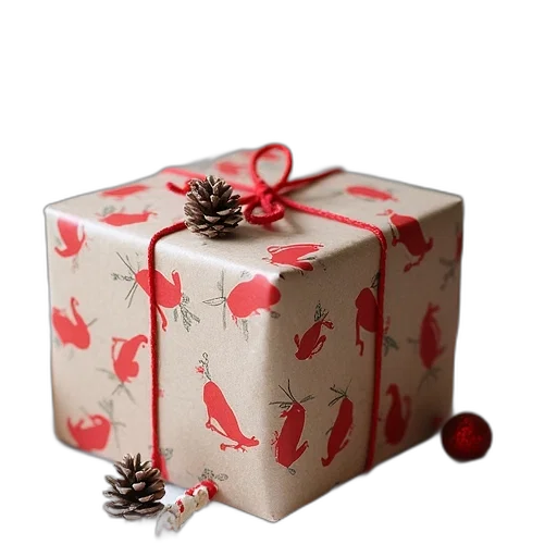 diy, christmas, gift, wrap transparent PNG cut-out