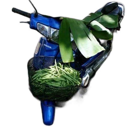 weapon, food, jewelry, car transparent PNG cut-out
