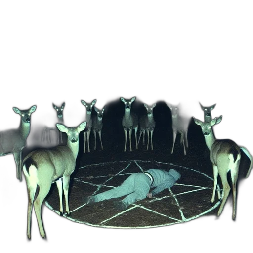crown, animal, mask, staff transparent PNG cut-out