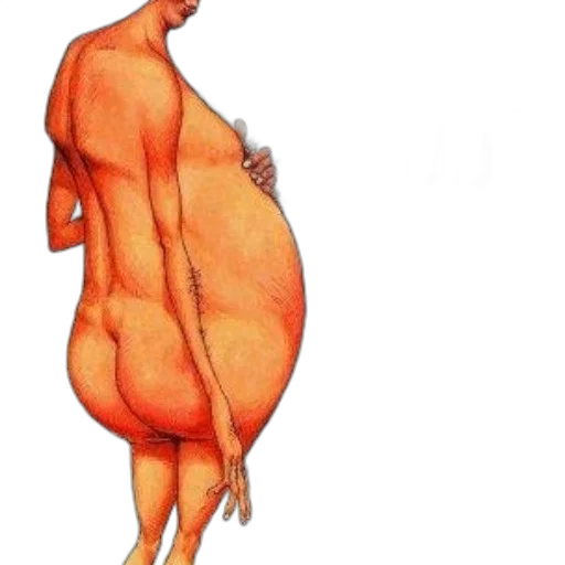 dress, jacket, creature, food transparent PNG cut-out