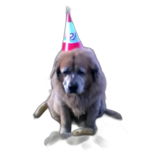 hat, staff, animal, crown transparent PNG cut-out