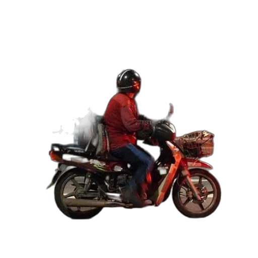 jacket, animal, weapon, staff transparent PNG cut-out