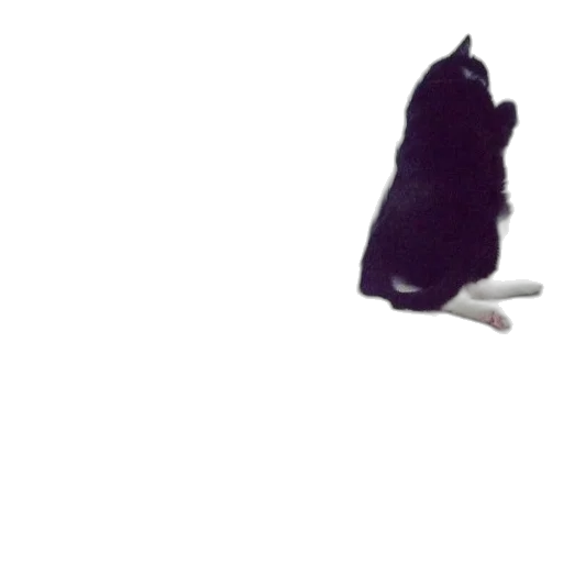 animal, staff, creature, umbrella transparent PNG cut-out