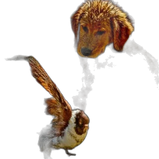 animal, creature, dragon, staff transparent PNG cut-out