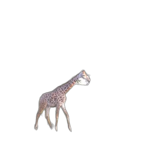 animal, creature, dragon, staff transparent PNG cut-out