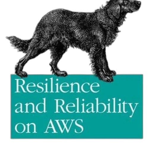 book, cover, titled, resilience transparent PNG cut-out