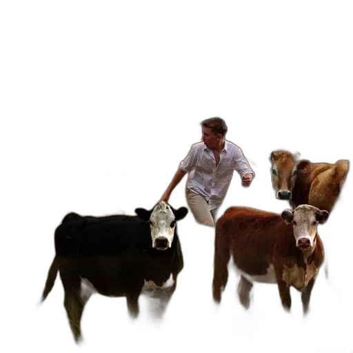 animal, concept art, man, white transparent PNG cut-out