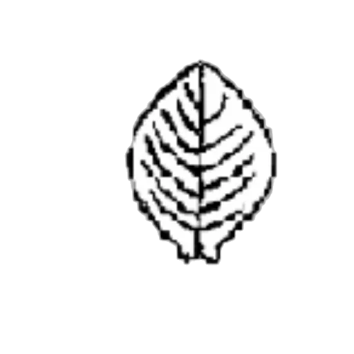 crown, jewelry, flower, staff transparent PNG cut-out