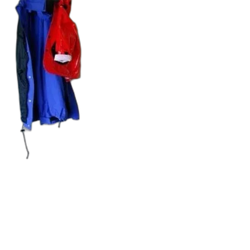 jacket, dress, umbrella, staff transparent PNG cut-out