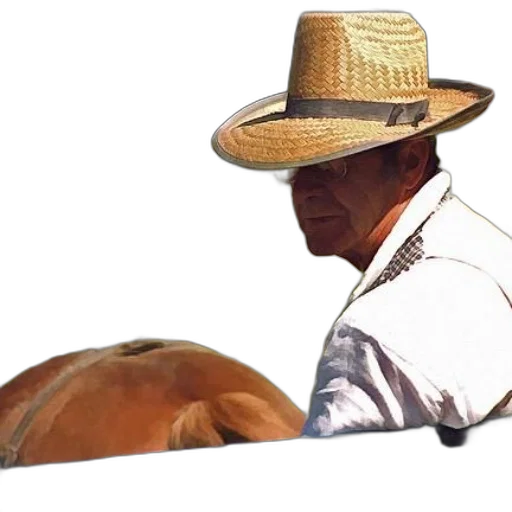 hat, animal, mask, staff transparent PNG cut-out