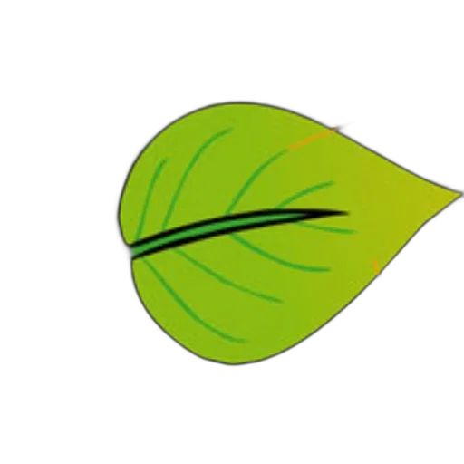 flower, umbrella, staff, hair transparent PNG cut-out
