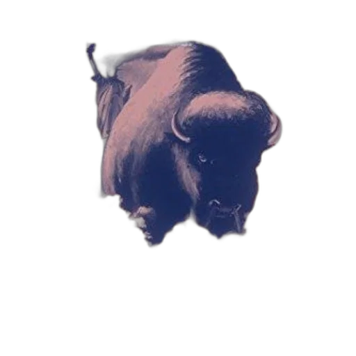 animal, staff, mask, face transparent PNG cut-out