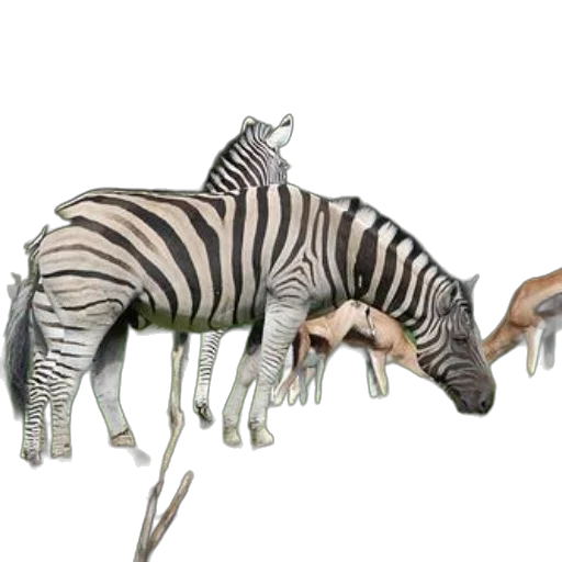 animal, creature, staff, jewelry transparent PNG cut-out