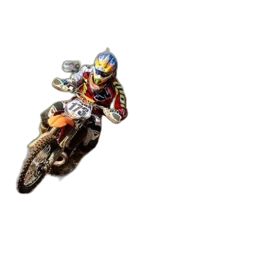 animal, photorealistic, 3d render, motocross transparent PNG cut-out