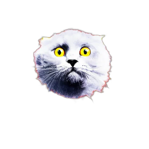animal, creature, face, staff transparent PNG cut-out