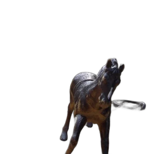 animal, staff, creature, dragon transparent PNG cut-out