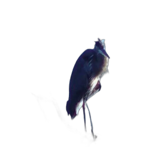 animal, dragon, creature, staff transparent PNG cut-out