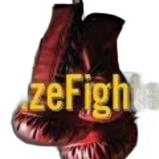 shoes, jacket, weapon, food transparent PNG cut-out