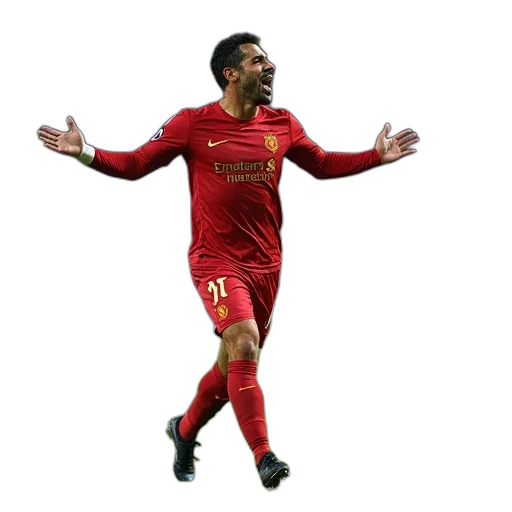 animal, pixel art, diego, suarez transparent PNG cut-out