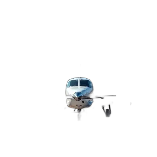 staff, animal, car, robot transparent PNG cut-out