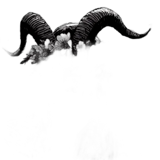 dragon, creature, hair, animal transparent PNG cut-out