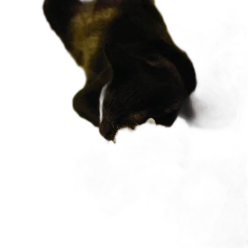 mask, crown, face, animal transparent PNG cut-out
