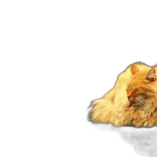 animal, crown, hair, creature transparent PNG cut-out