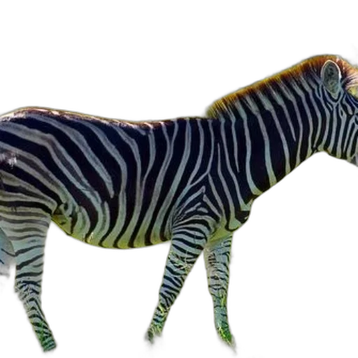animal, creature, staff, weapon transparent PNG cut-out