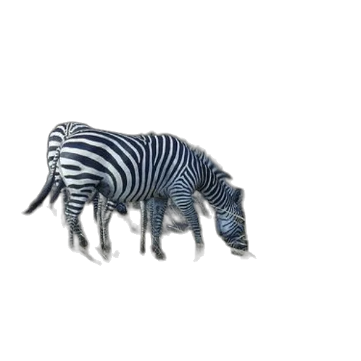 animal, creature, furniture, jewelry transparent PNG cut-out