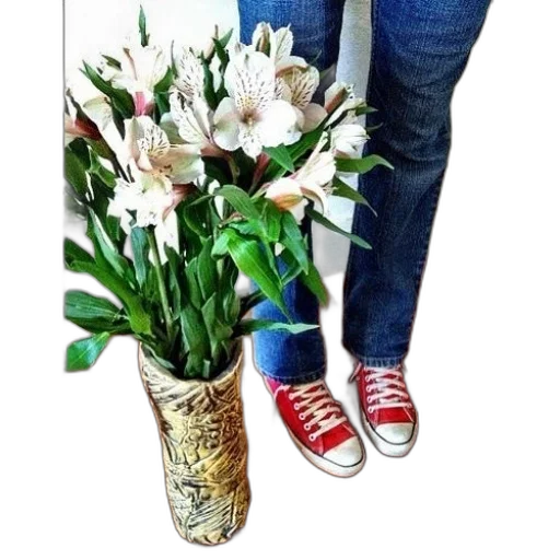 shoes, flower, staff, jacket transparent PNG cut-out