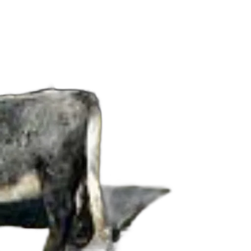 animal, creature, weapon, hat transparent PNG cut-out
