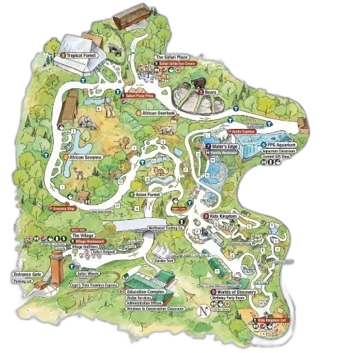 colorful, zoo, map, various transparent PNG cut-out