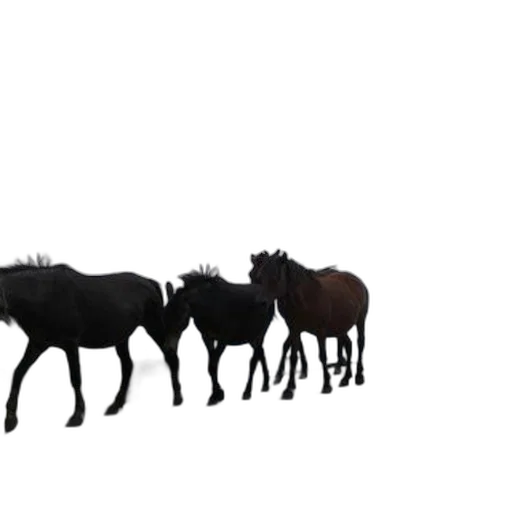 animal, crown, creature, staff transparent PNG cut-out