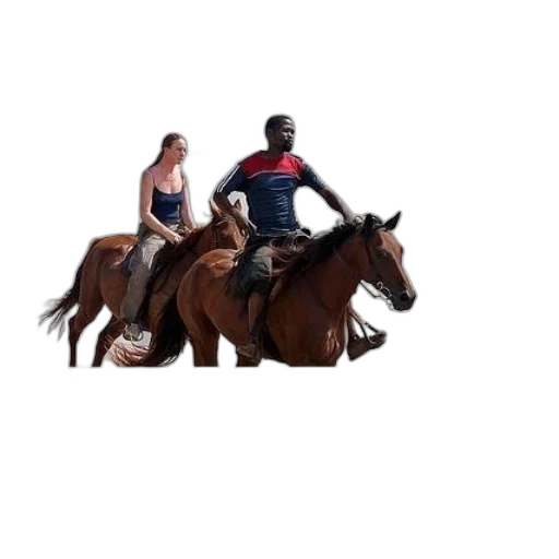 animal, furniture, car, creature transparent PNG cut-out