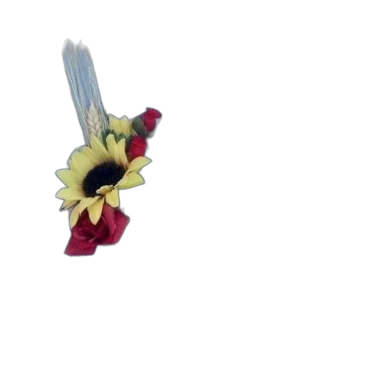 flower, weapon, jewelry, dragon transparent PNG cut-out