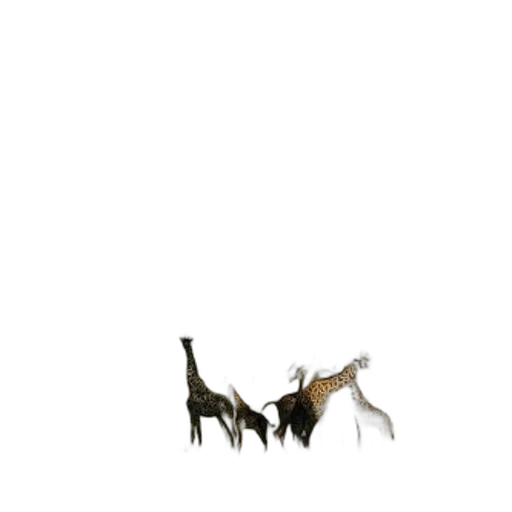 dragon, animal, creature, staff transparent PNG cut-out