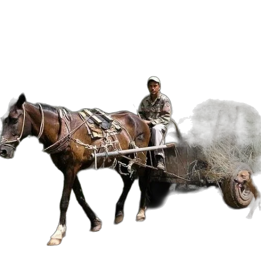 weapon, animal, car, staff transparent PNG cut-out