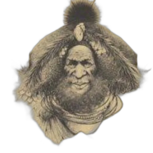 mask, hair, face, crown transparent PNG cut-out