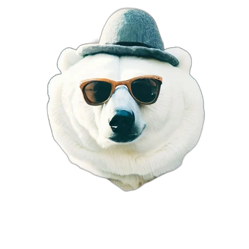 hat, animal, mask, jacket transparent PNG cut-out